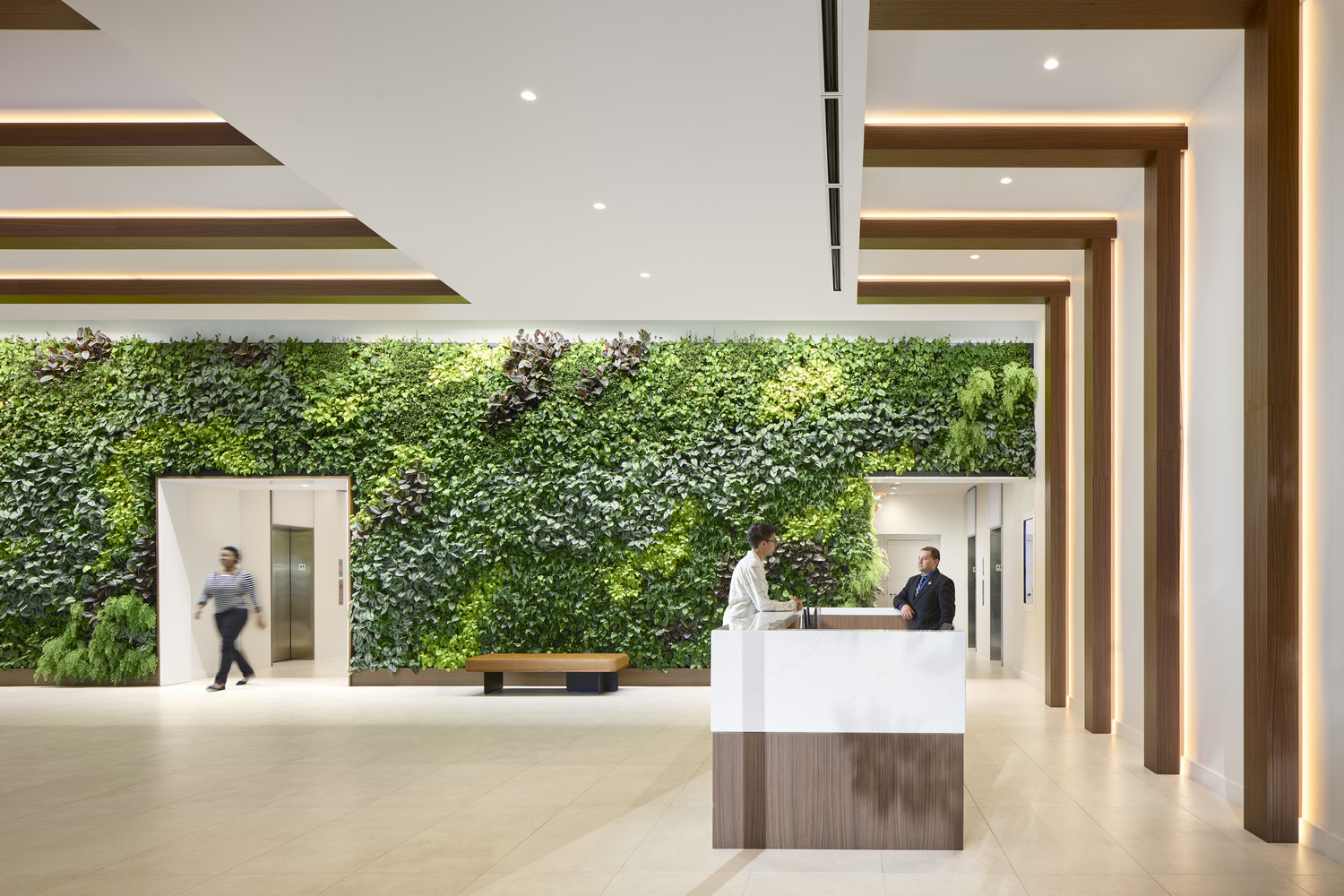 What You Need to Know About Biophilic Design