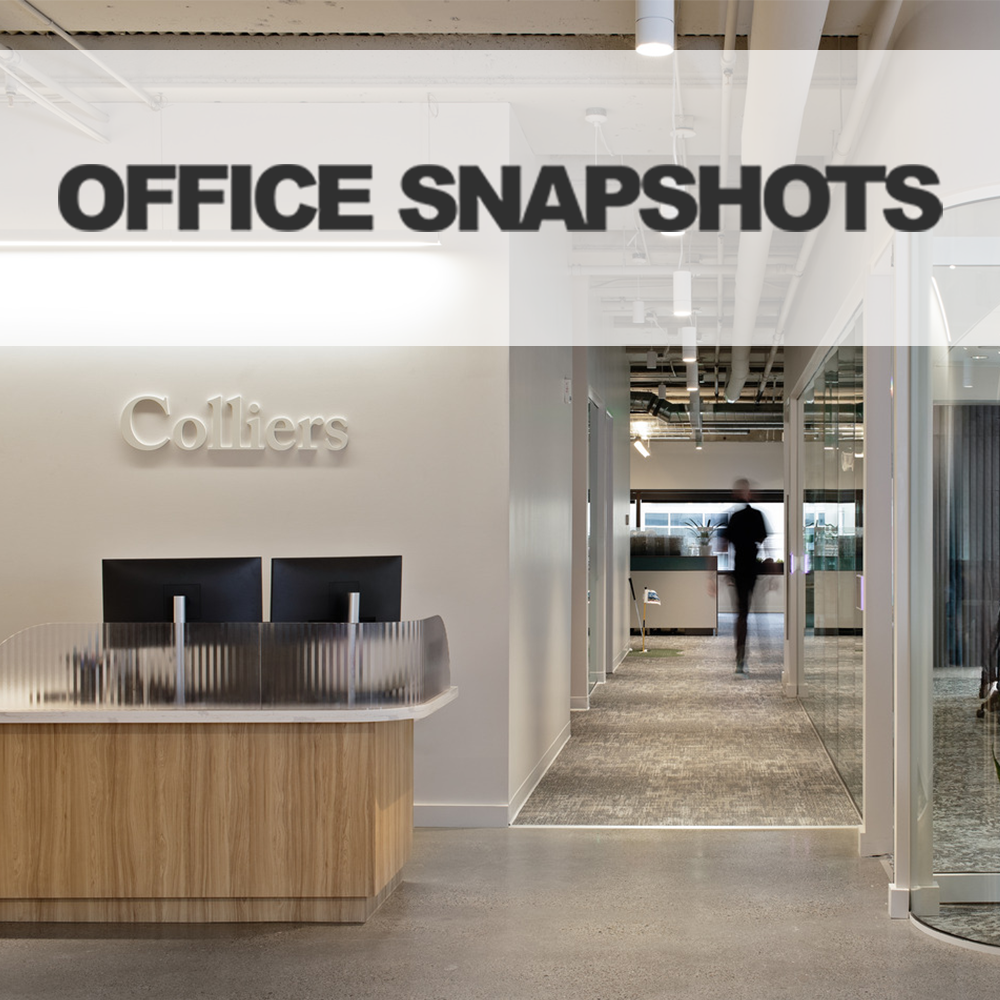 Project Feature: Colliers