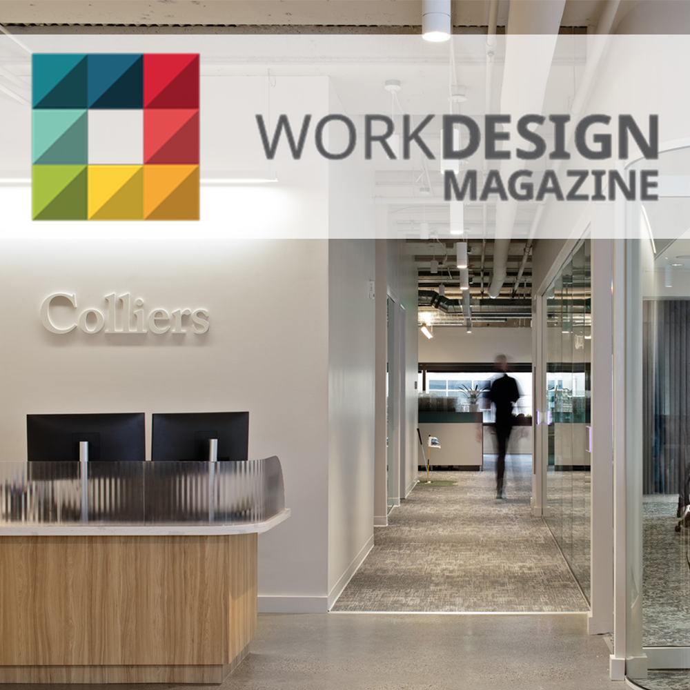 Inside Colliers’ Portland Office: Biophilic Design Meets Modern Workplace Strategy